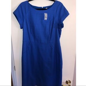 J Crew royal blue shift dress